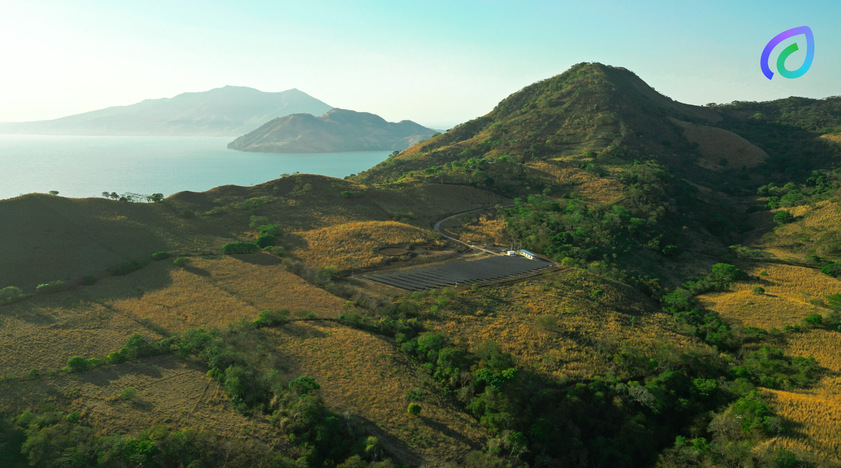 meanguera-del-golfo-3_1.jpg