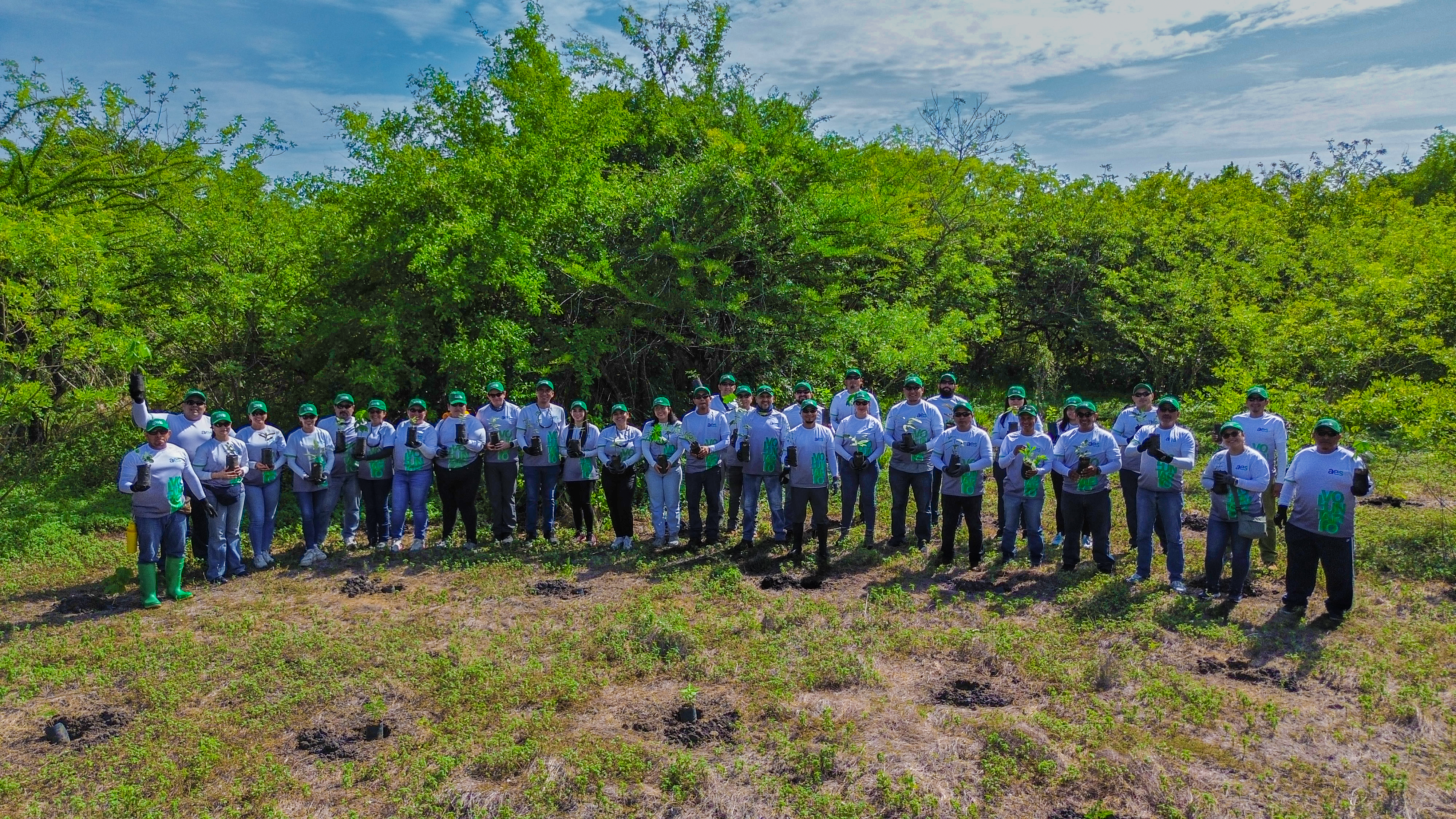 Un grupo de aproximadamente 30 personas, algunas con camisas blancas y verdes, y otras con camisas blancas y grises, se encuentran de pie en un campo abierto y ligeramente irregular. La mayoría de ellas sostienen pequeñas plantas con cepellón. Al fondo, se observa una densa zona boscosa con árboles y vegetación de color verde exuberante, dominando la mitad superior de la imagen. El cielo es de un azul claro con algunas nubes dispersas, indicando un día soleado.