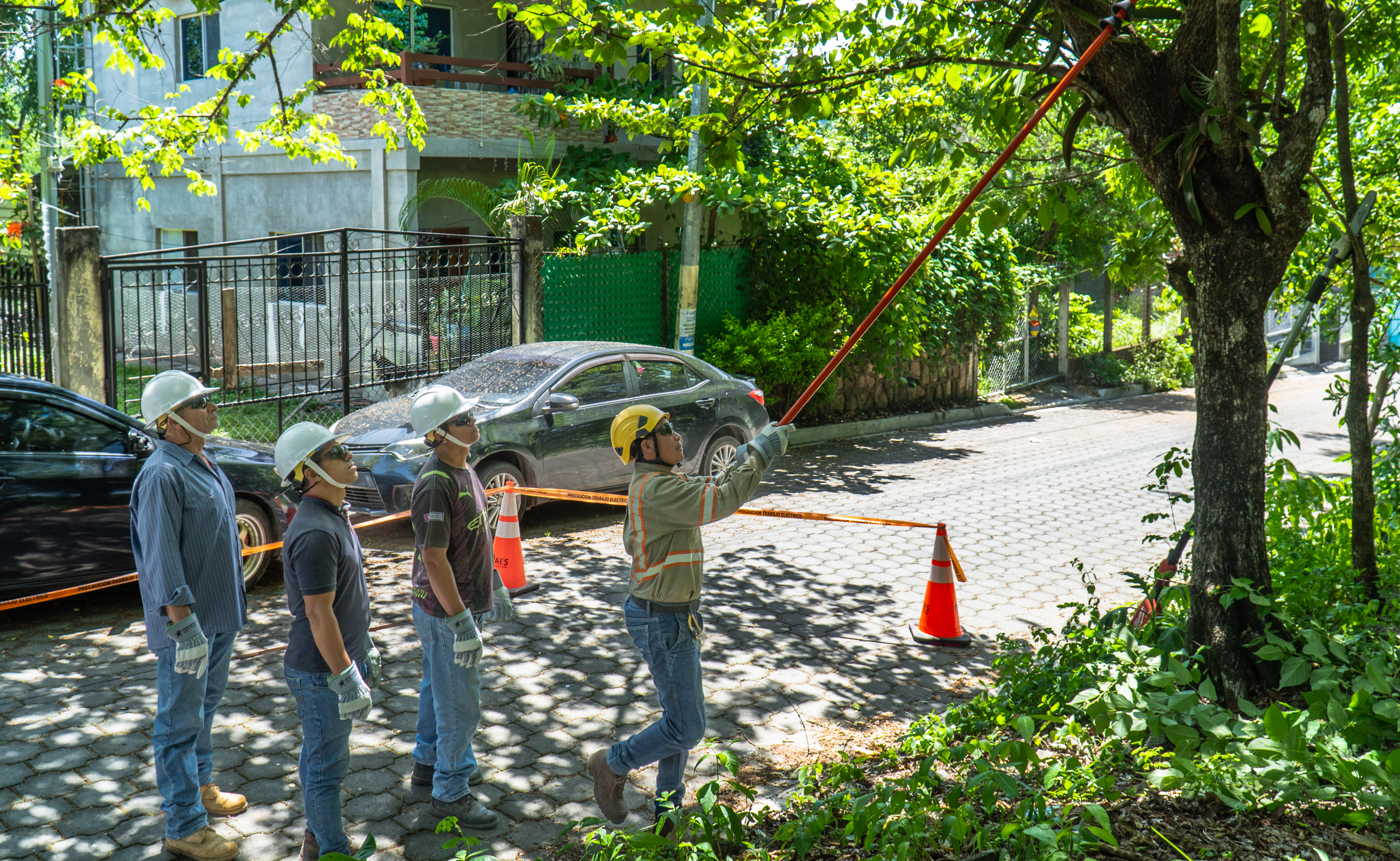Un grupo de cuatro hombres con cascos de seguridad blancos y amarillos, guantes y ropa de trabajo están en una calle bordeada de árboles y casas. Uno de los hombres usa una podadora de extensión roja para alcanzar las ramas altas de un árbol. Hay conos de seguridad anaranjados cerca. Coches oscuros están estacionados en la calle.