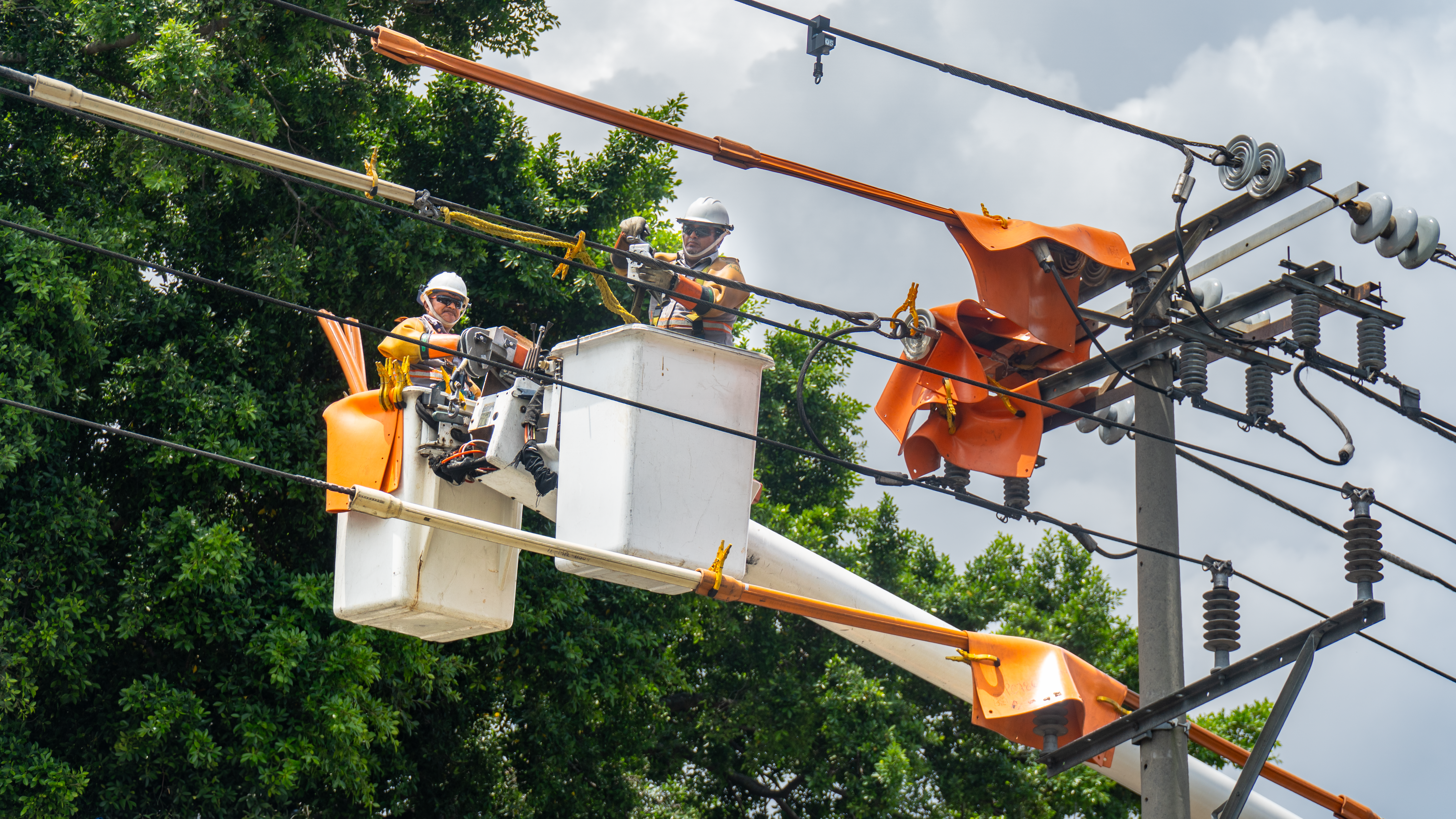 Dos trabajadores con casco y equipo de seguridad, dentro de la cesta de una pluma elevadora de camión, reparan cables eléctricos en un poste. La pluma está extendida hacia el poste, rodeado por vegetación frondosa. El cielo está nublado.