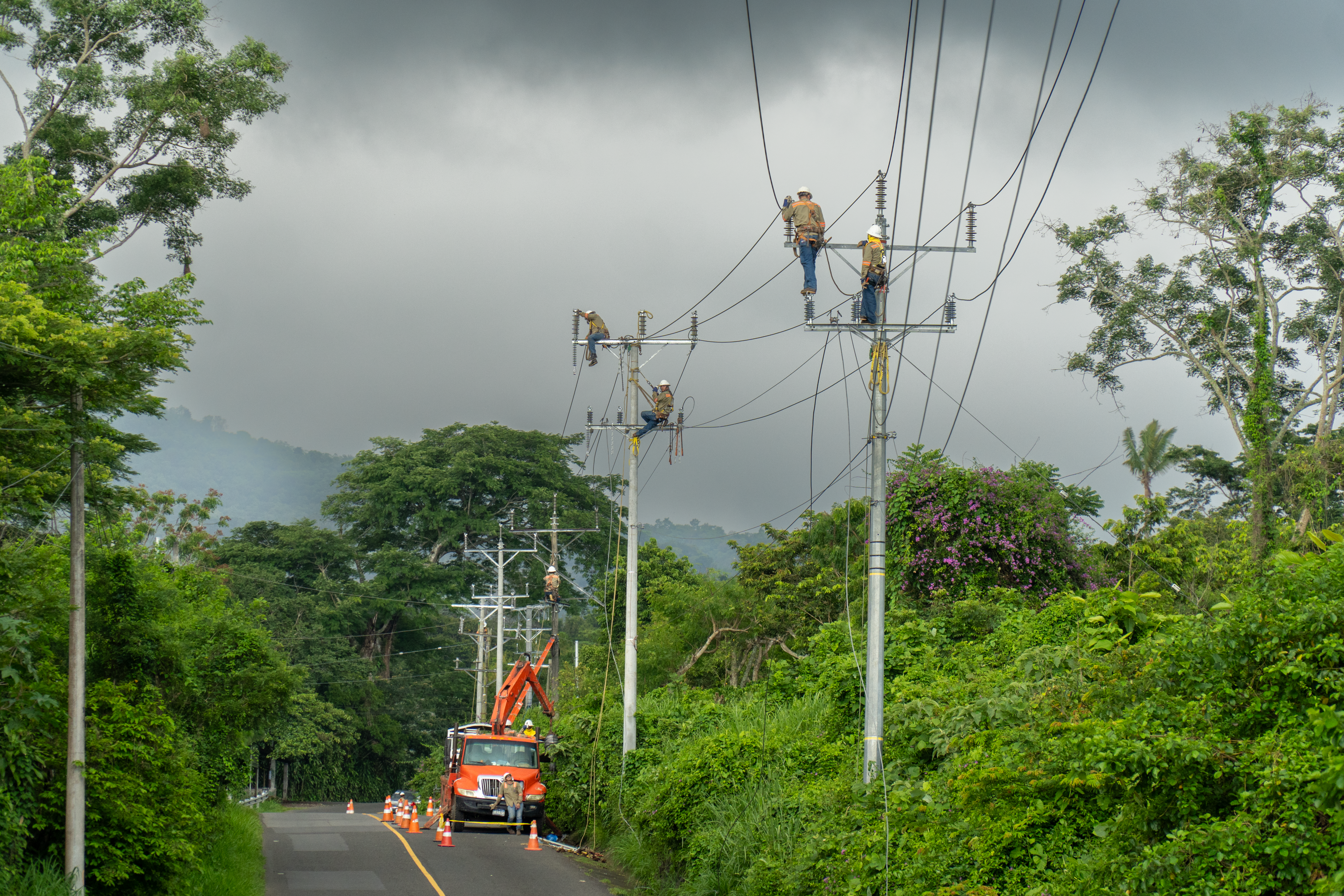 Vista frontal de varios postes de servicios públicos en una carretera rural. Seis trabajadores de energía están reparando líneas eléctricas de alto voltaje. Uno de los trabajadores está en el suelo, y los otros cinco están en los postes o en la canasta de un camión de servicio de color naranja. El camión está en la carretera, con conos de tráfico que lo rodean. Un denso follaje verde y árboles cubren los lados de la carretera, con montañas borrosas y cielo nublado en el fondo.