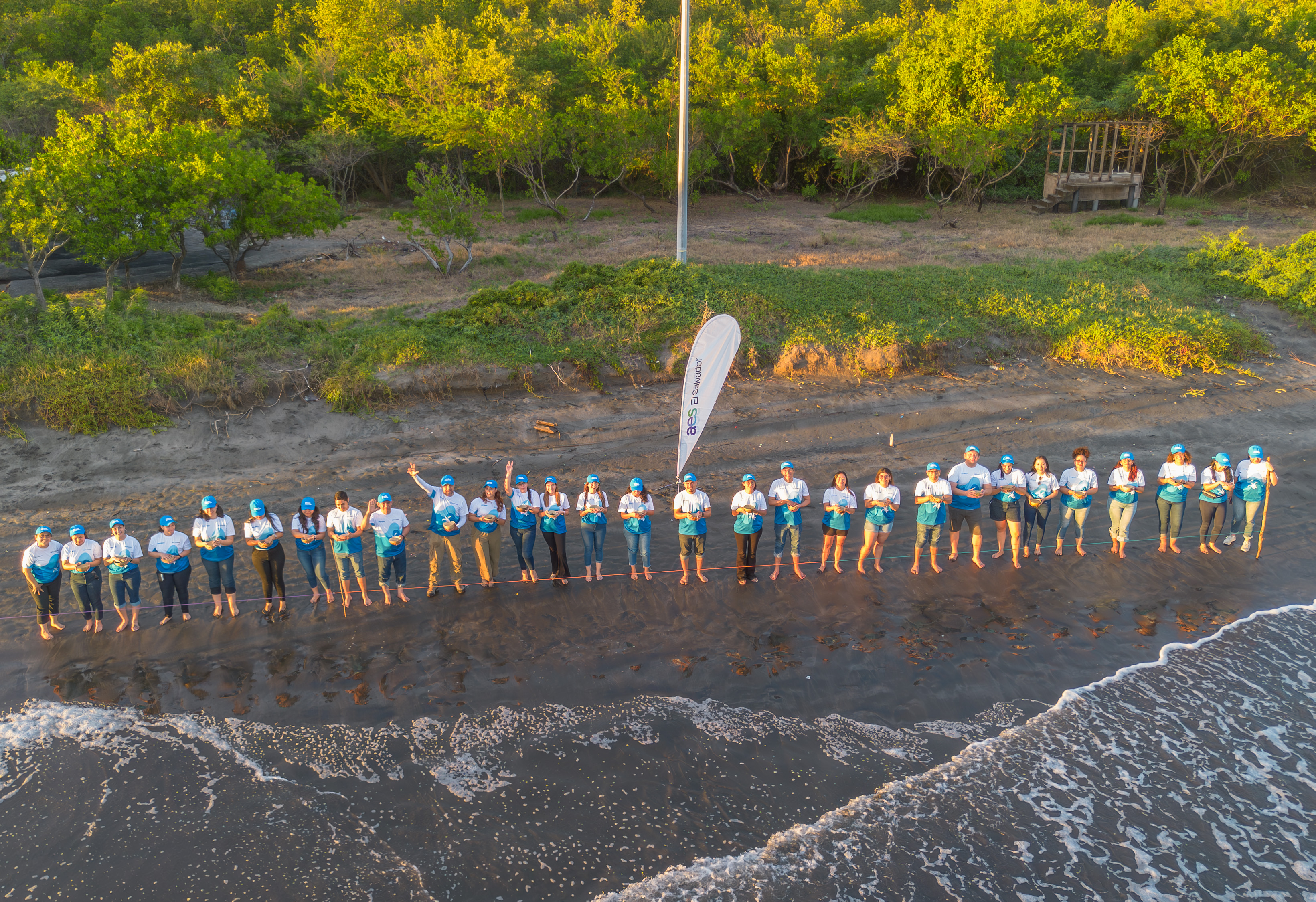 Una vista aérea muestra a un gran grupo de voluntarios parados en una línea a lo largo de la orilla de una playa. La mayoría lleva camisetas blancas y gorras azules. Detrás de ellos hay un área de arena y vegetación, con árboles frondosos en la parte superior de la imagen. A la izquierda de la línea, cerca del centro, hay una bandera blanca vertical con un logo. Las olas rompen suavemente a los pies de los voluntarios. El sol ilumina los árboles con un brillo verde.