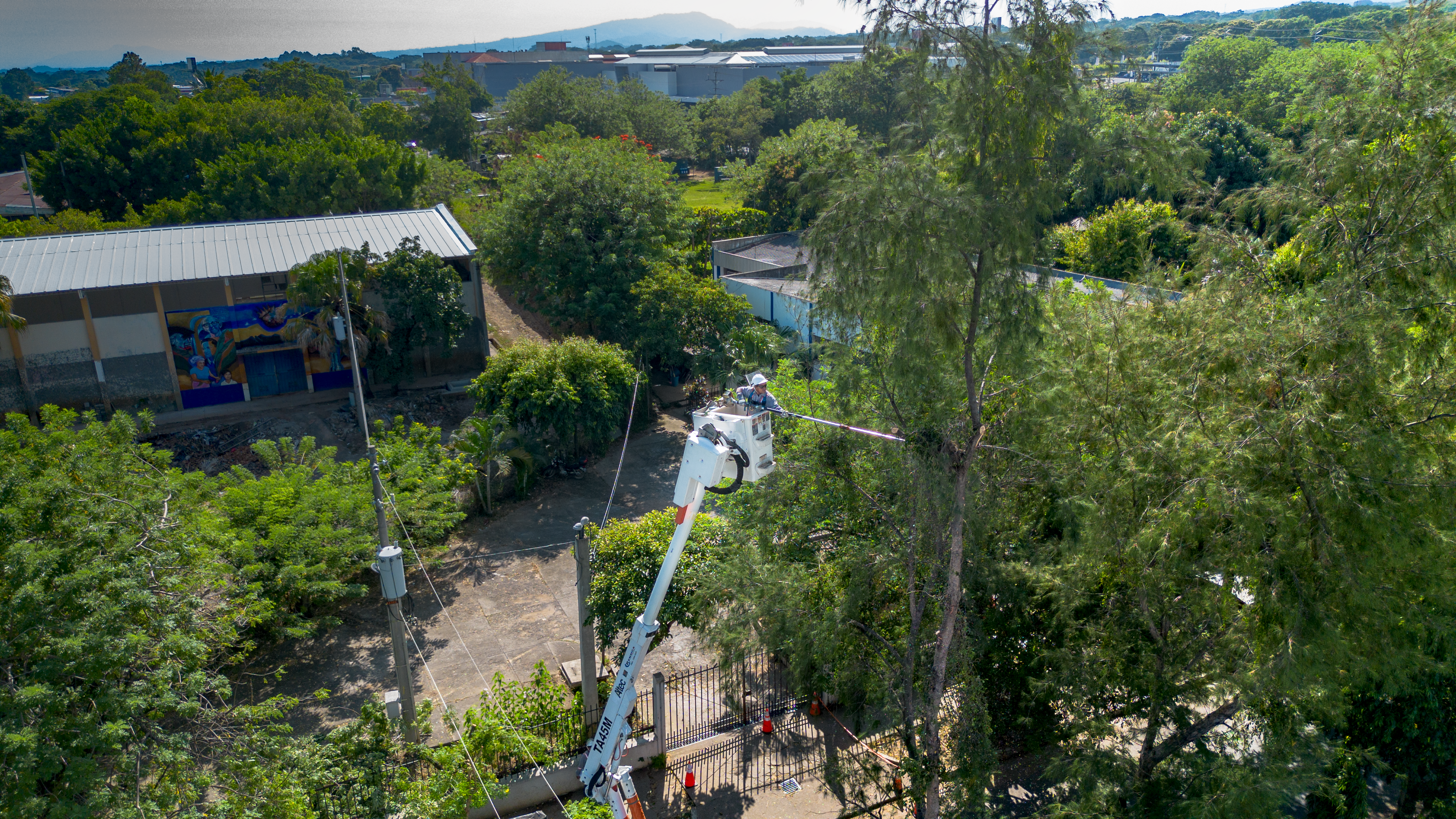 Vista aérea de un trabajador en una grúa de cesto podando un árbol alto y frondoso. La grúa está extendida hacia arriba, alcanzando las ramas del árbol, que ocupa el lado derecho de la imagen. Al fondo se ven otros árboles, edificios y un cielo parcialmente nublado. La escena sugiere un día soleado en una zona con mucha vegetación.