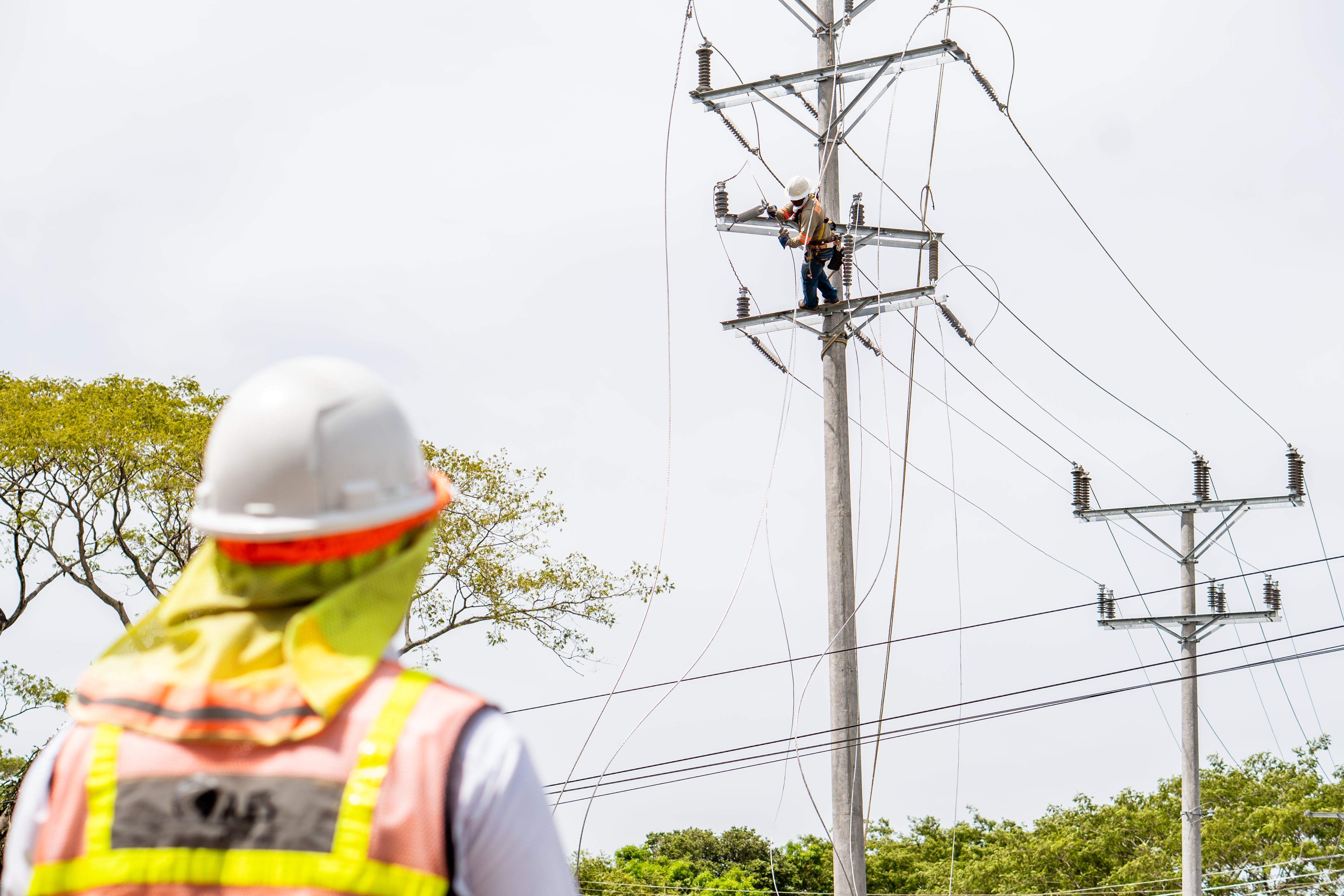 En primer plano y de espaldas, un supervisor con chaleco de alta visibilidad y casco blanco observa a un técnico liniero ubicado en la parte superior de un poste de luz de alta tensión. El liniero realiza trabajos en los cables y estructuras de soporte. Al fondo se observa vegetación verde, otros postes eléctricos y un cielo claro de día.