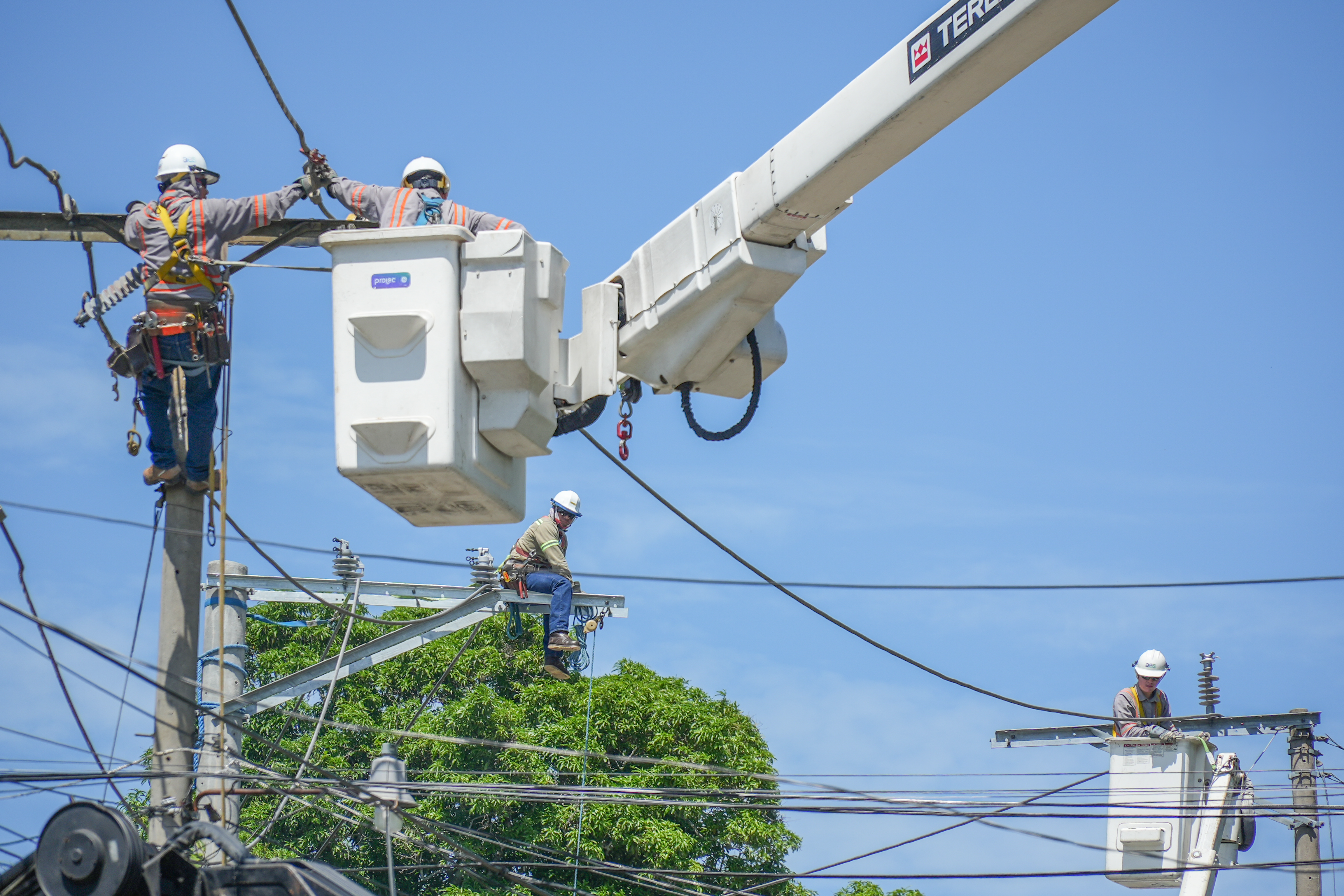Cuatro linieros con cascos y arneses de seguridad realizan trabajos de mantenimiento en la red eléctrica. Dos de ellos se encuentran en una canastilla elevada por una grúa, uno está sujetado directamente en lo alto de un poste de concreto y otro trabaja sentado sobre las estructuras metálicas del tendido eléctrico, rodeados de múltiples cables y con árboles de fondo bajo un cielo despejado.