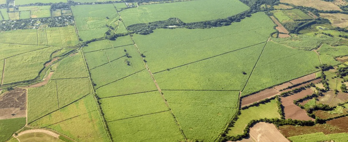 Partnering with communities for the future of energy.