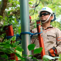 A person wearing a helmet and safety gear is on a ladder working on an electrical pole. The individual is holding a tool and appears to be performing maintenance or installation. The scene is outdoors with greenery in the background.