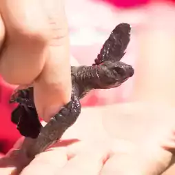 Comunidad-Community-AES-Medio-Ambiente-Environment